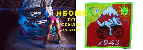 трава Бородино