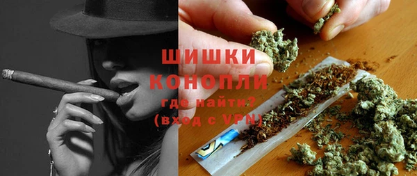 трава Бородино