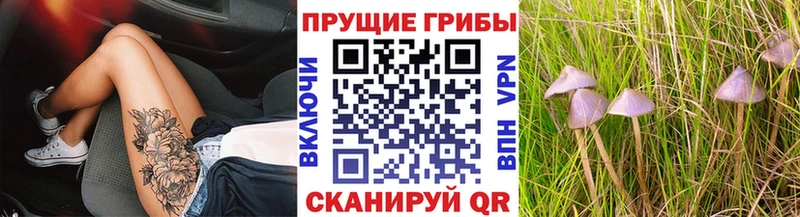 даркнет сайт Абинск Псилоцибиновые грибы прущие грибы